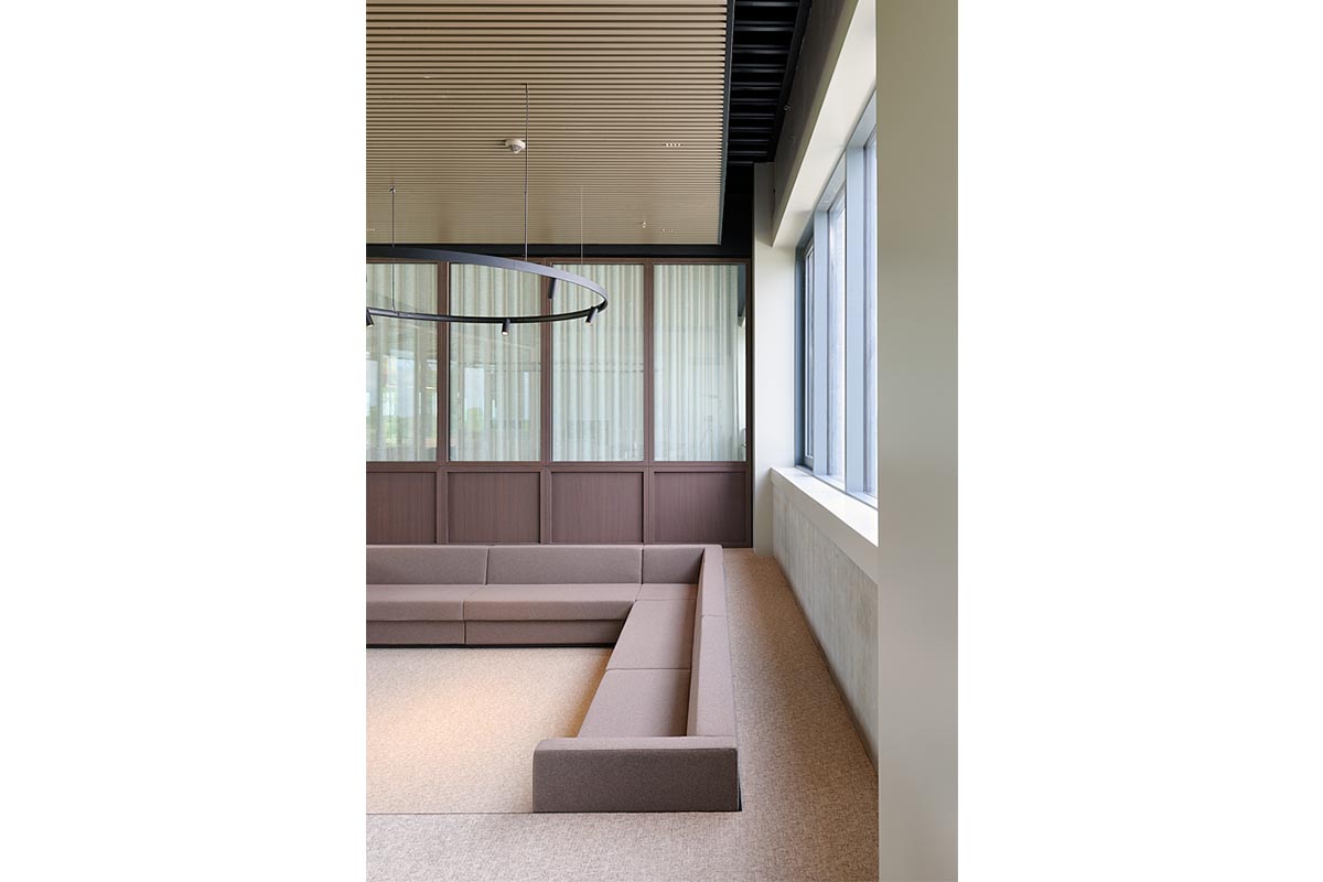 8002 UMBER BROWN 10.jpg